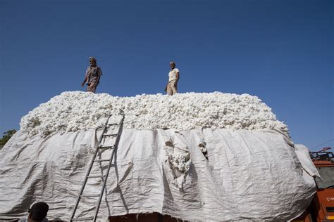 血與土|直面「現代奴隸」 《血與土》作者：解決環境問題，就能解決部。